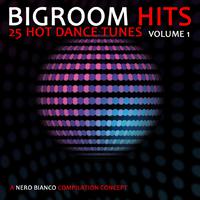 Bigroom Hits, Vol. 1