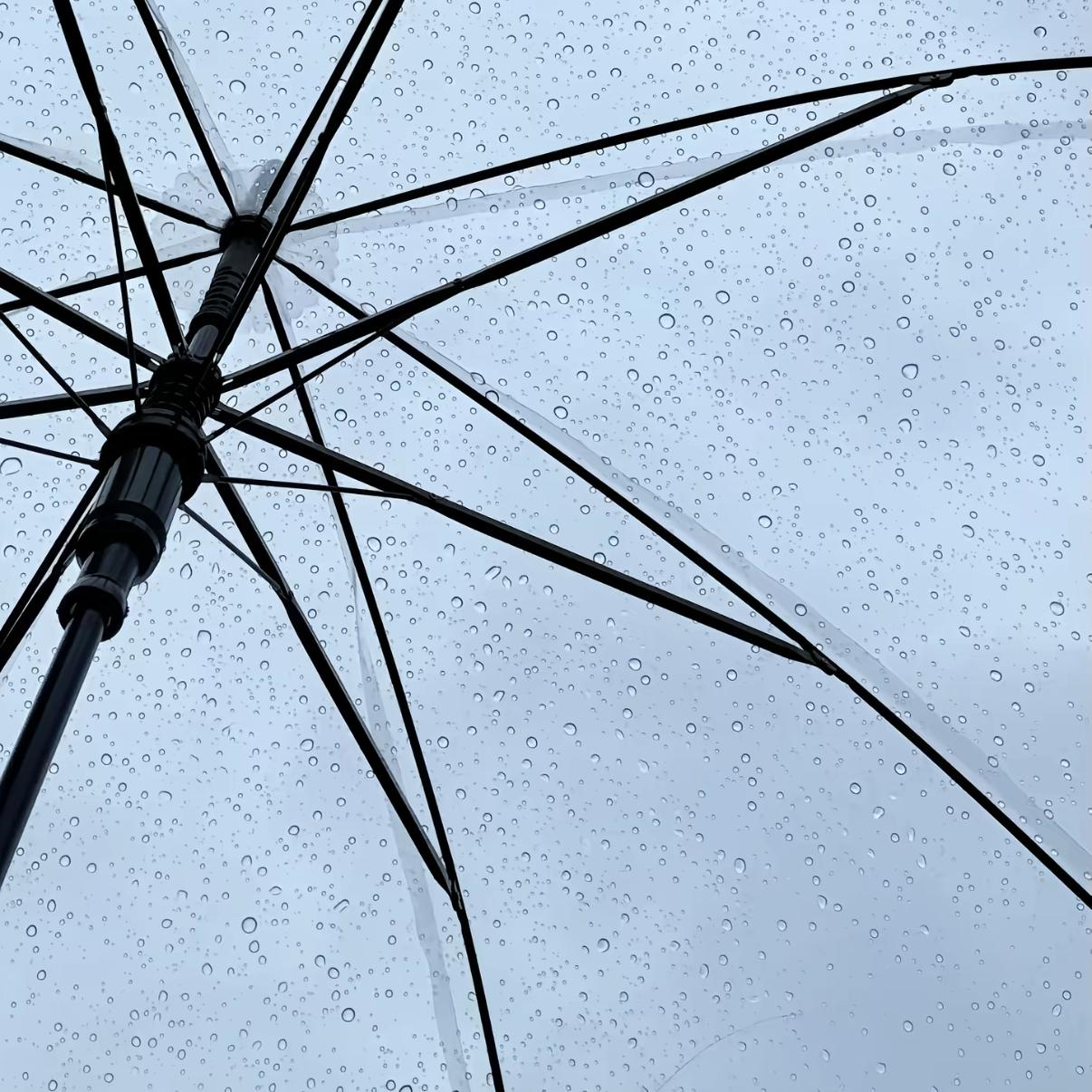 你我的相遇 就像仓促一场雨 - 秒遗憾封面