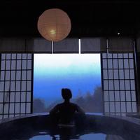 一只大白兔资料,一只大白兔最新歌曲,一只大白兔MV视频,一只大白兔音乐专辑,一只大白兔好听的歌