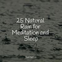 25 Natural Rain for Meditation and Sleep