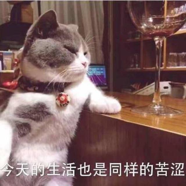 88 riping封面