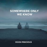 Somewhere Only We Knew