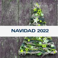 Navidad 2022