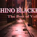 Shino Blackk