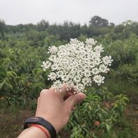 超人不会飞