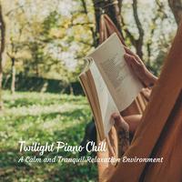 Twilight Piano Chill: A Calm and Tranquil Relaxation Environment