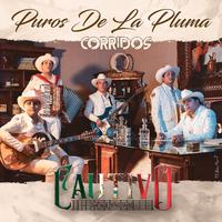 PUROS DE LA PLUMA