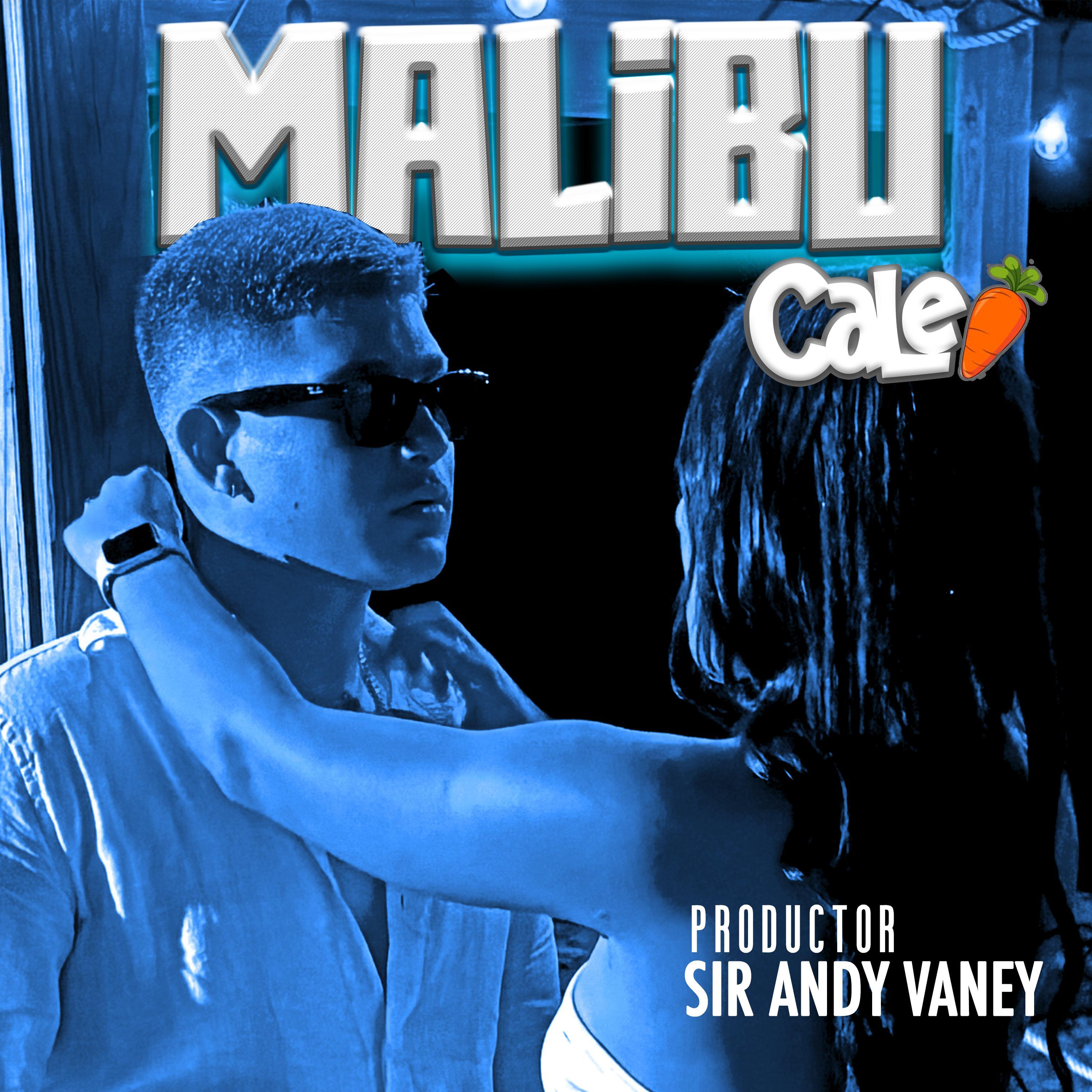 malibu歌手：cale musik / sir andy vaney发行时间：2024-10-3