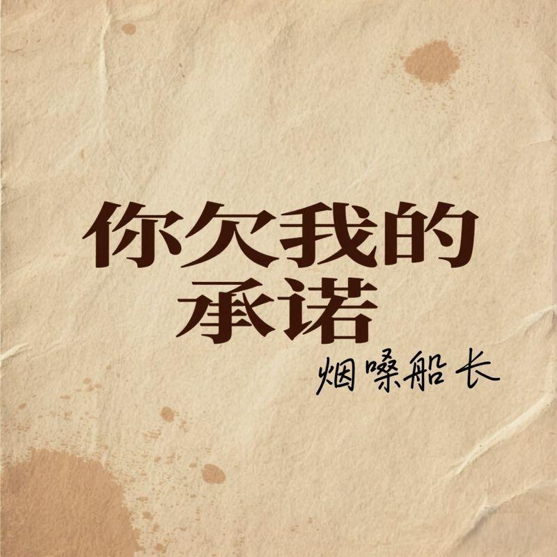 你欠我的承诺封面