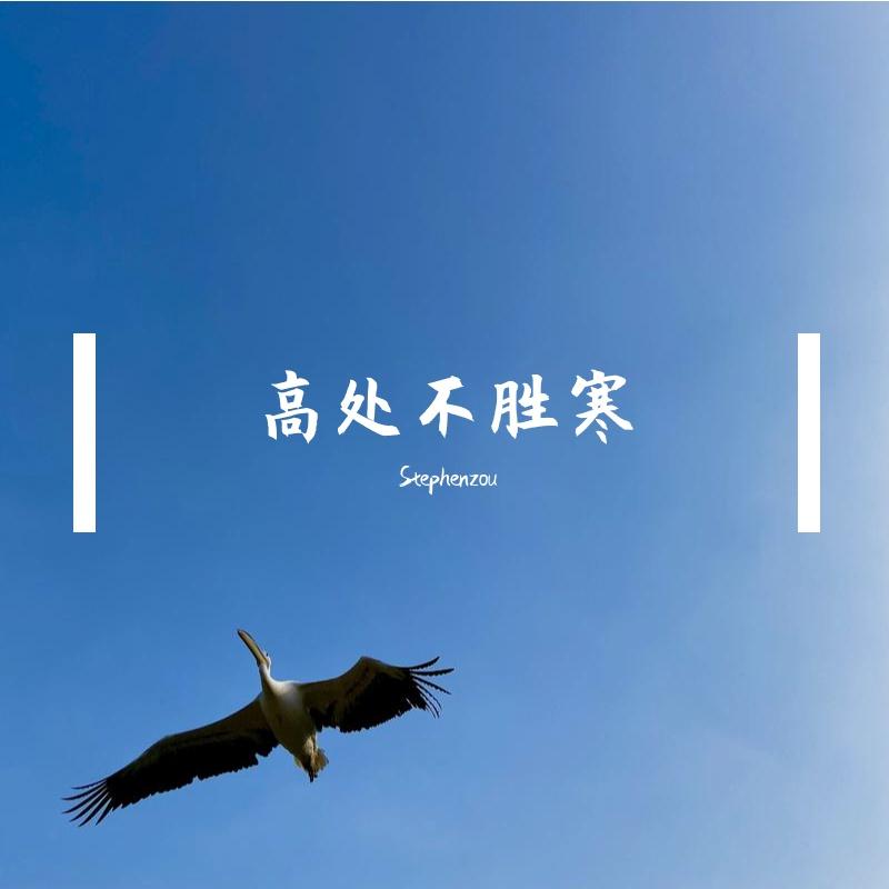 众人皆醉我独醒封面