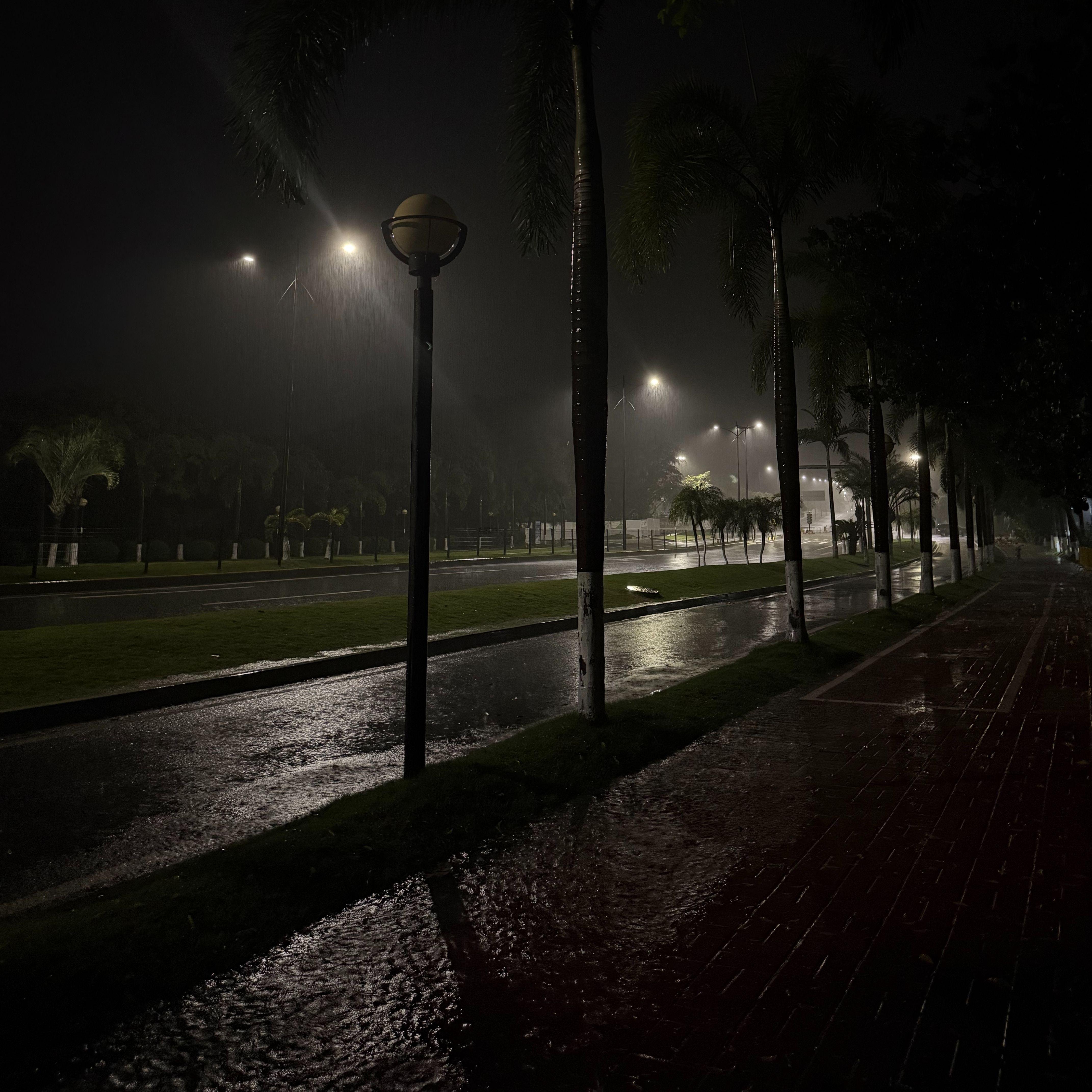 悲观的世界不会再有乐观的人