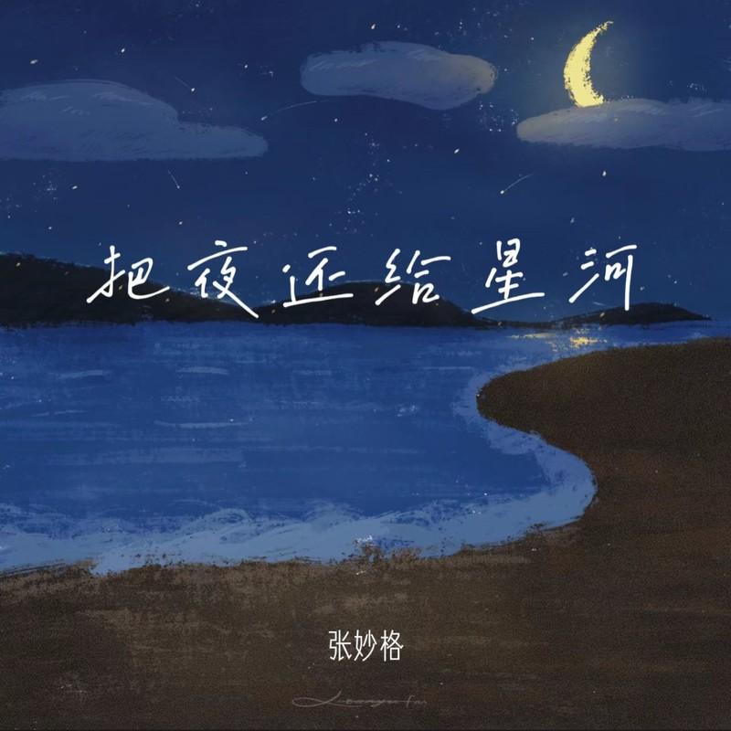 把夜还给星河 (DJ版)封面