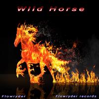 Wild Horse