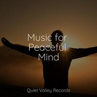 Music for Peaceful Mind