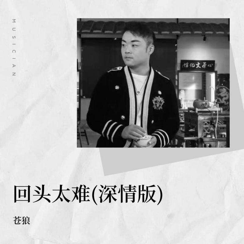 回头太难 (深情版)封面