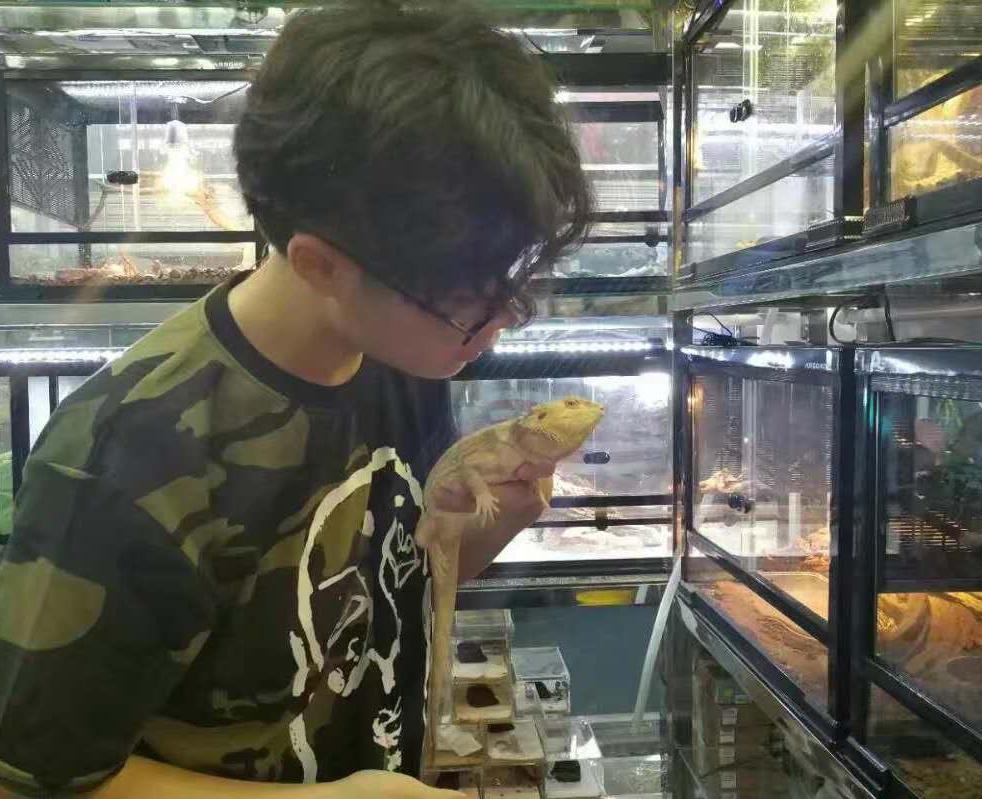 森别