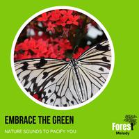 Embrace The Green - Nature Sounds to Pacify You