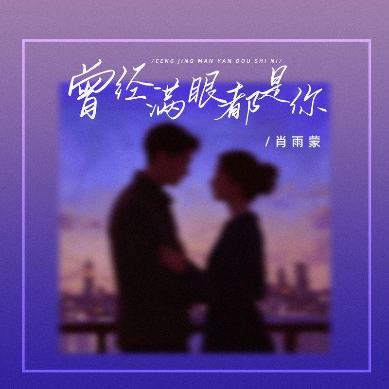 曾经满眼都是你封面