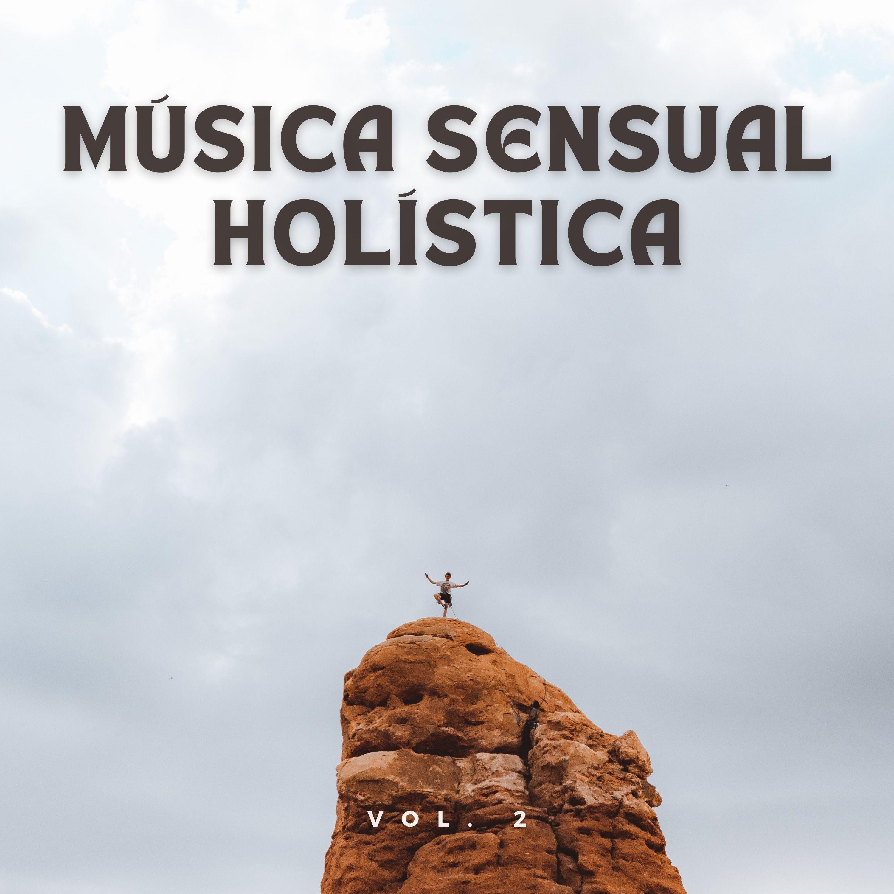 Asistente Vitalizante_Musica Instrumental Para Relajar tus Sentidos_Armonía De Los Sentidos Vol. 2 | 在线播放_Asistente Vitalizante歌词_Asistente Vitalizante下载 | 网易云音乐