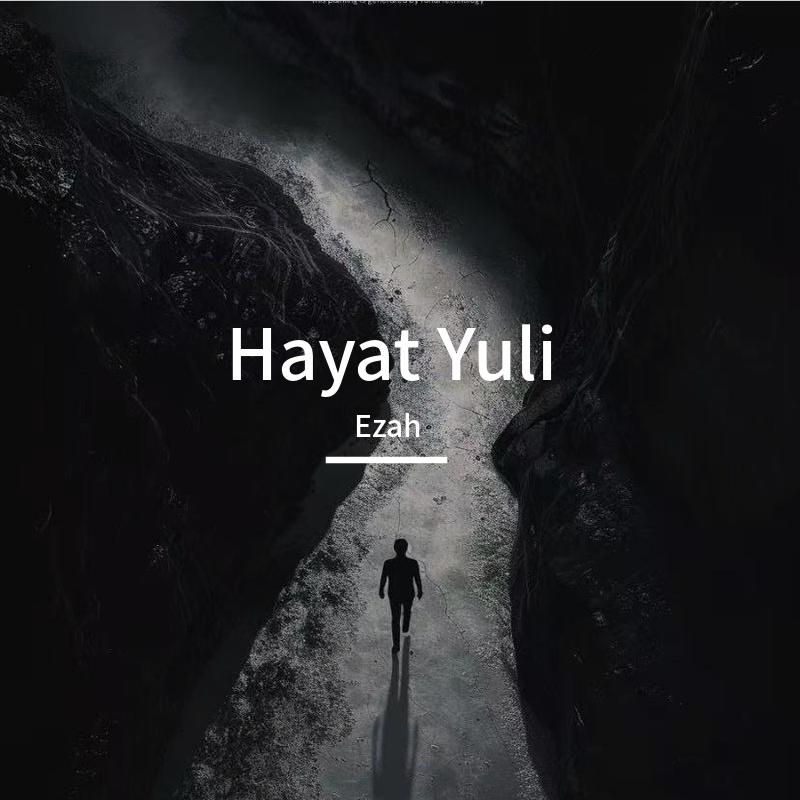 Hayat Yuli封面