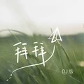 拜拜封面