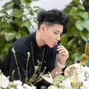 ♚纯音乐♚
