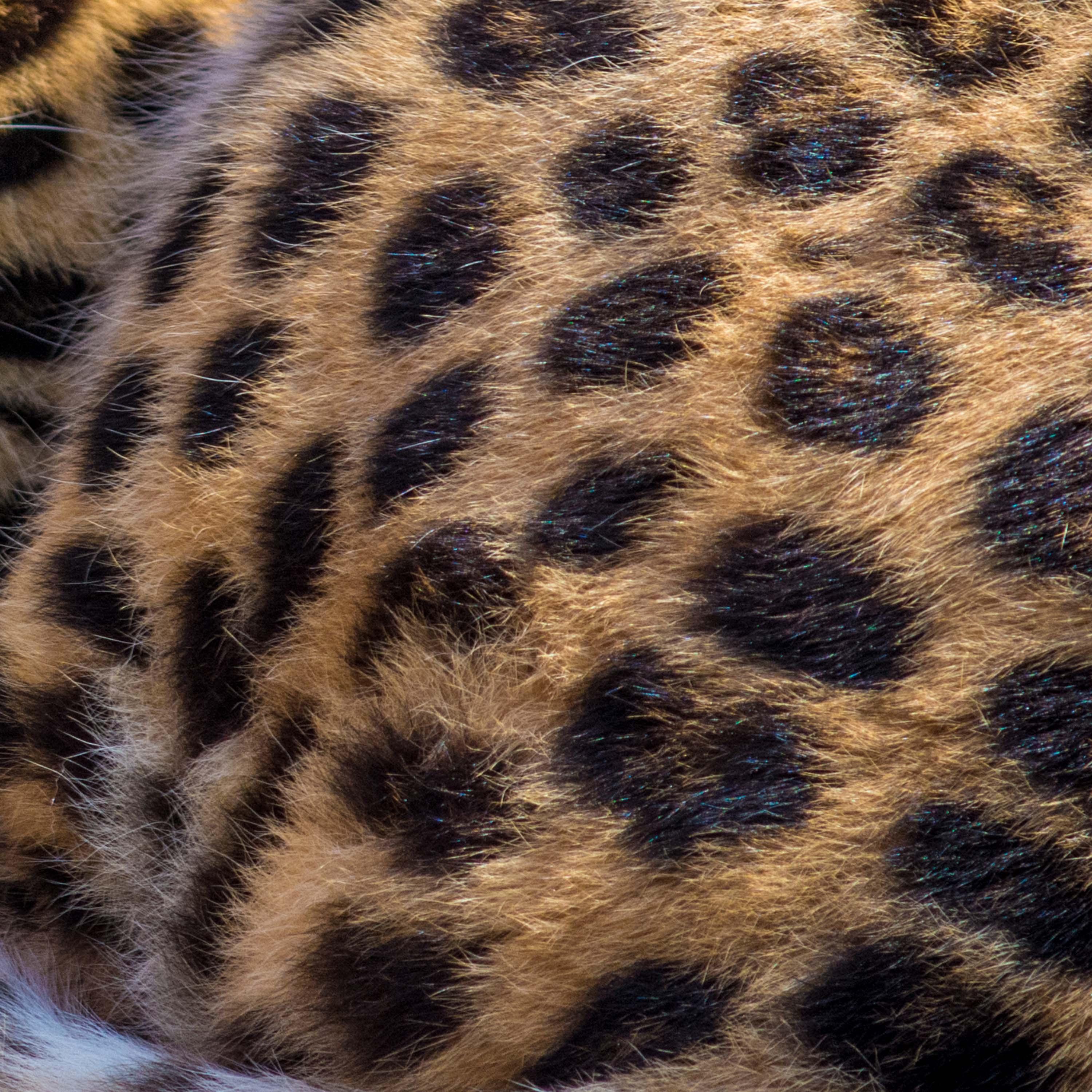 让软弱的我们懂得残忍