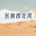 东南西北风 (DJ版)封面