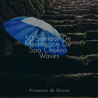 50 Sonidos De Meditación De Spa Chakra Waves