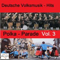 Deutsche Volksmusik-Hits: Polka-Parade, Vol. 3