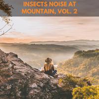 Insects Noise at Mountain, Vol. 2