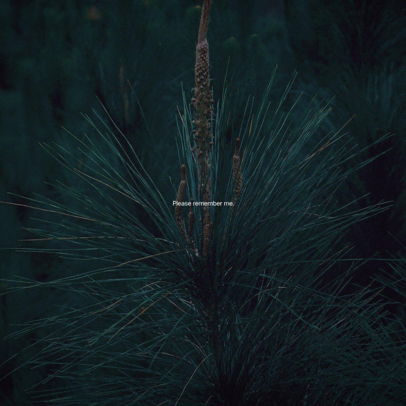 ﹏﹉﹌﹌﹌﹌﹊‡‡‡