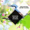 Nature Fantasy Music Studio - Endless Woodland