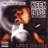 Life'z The Pitz