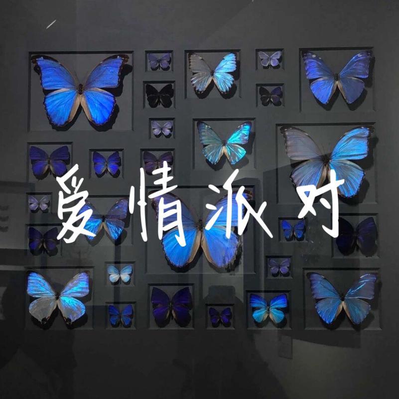 爱情派对封面
