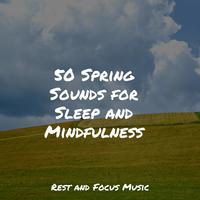 50 Spring Sounds for Sleep and Mindfulness