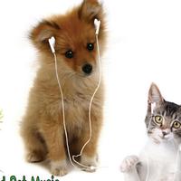 World Pet Music资料,World Pet Music最新歌曲,World Pet MusicMV视频,World Pet Music音乐专辑,World Pet Music好听的歌