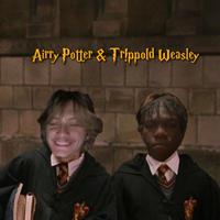 Airry Potter & Trippold Weasley