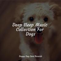 Deep Sleep Music Collection For Dogs