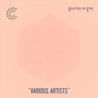 Conscious Various