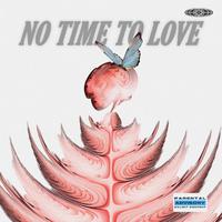 NO TIME TO LOVE