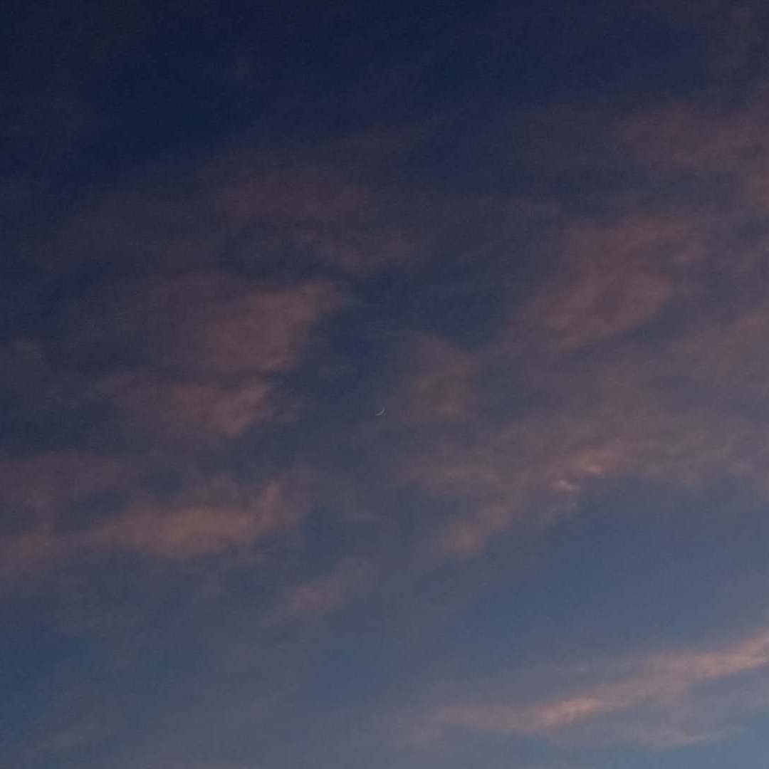 “这里是为您关月亮公司☽”（R&B TYPE BEAT)