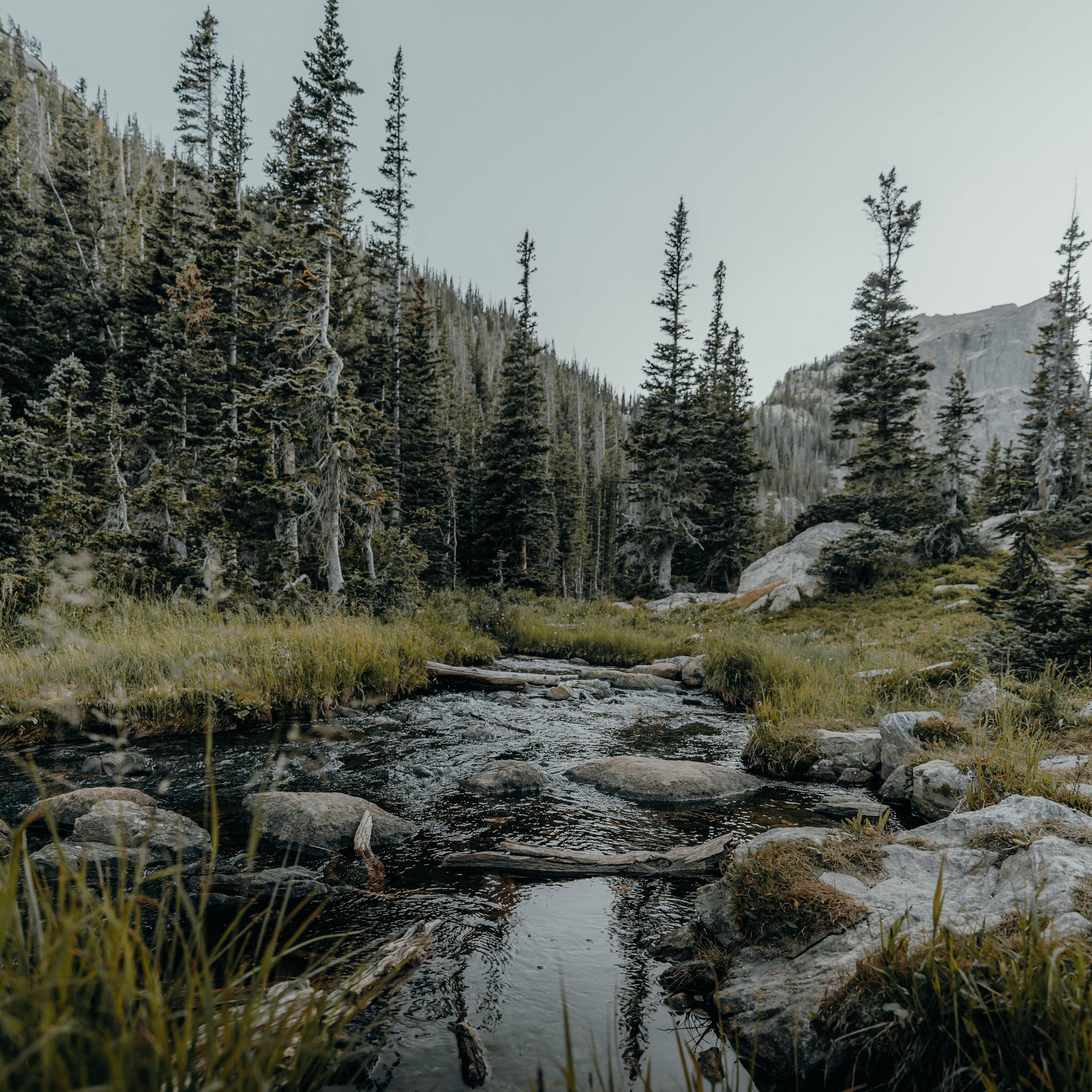 多想在平庸的生活拥抱你
