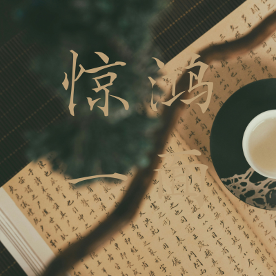 惊鸿一面 - 炫动小霸王封面