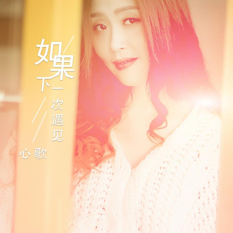 如果下一次遇见 (伴奏)封面