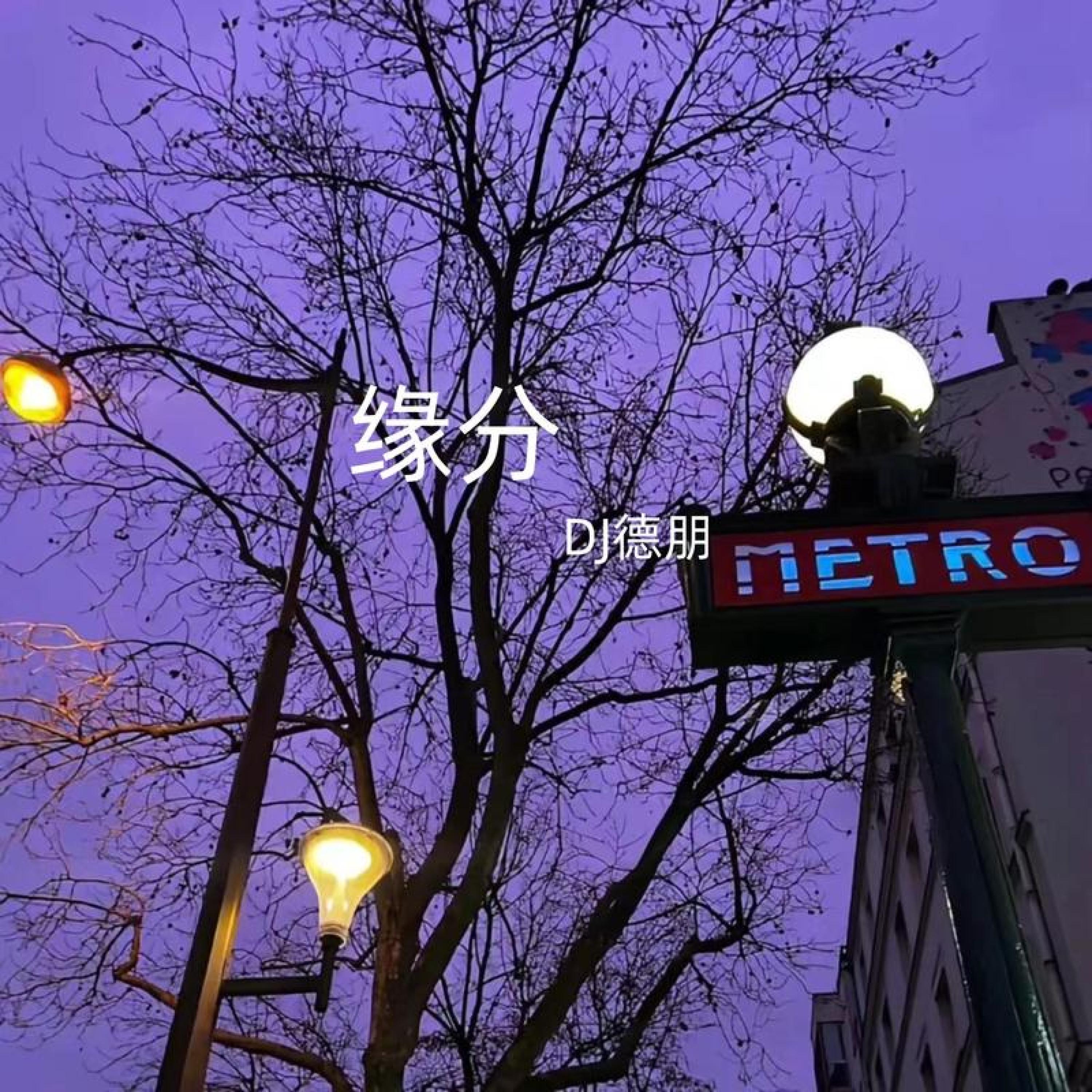缘分 (降调版)封面