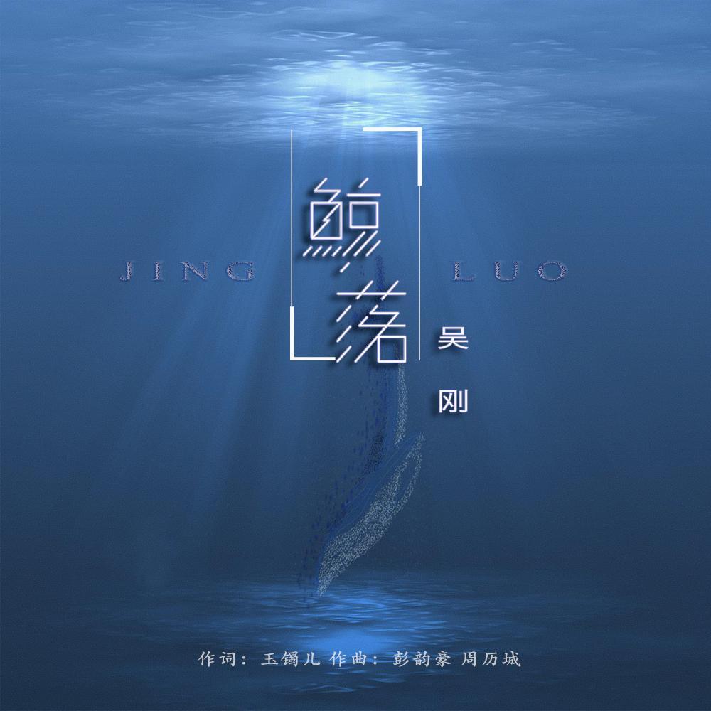 鲸落 (DJ版)封面