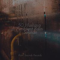 50 Hushing Ambient Rain Sounds