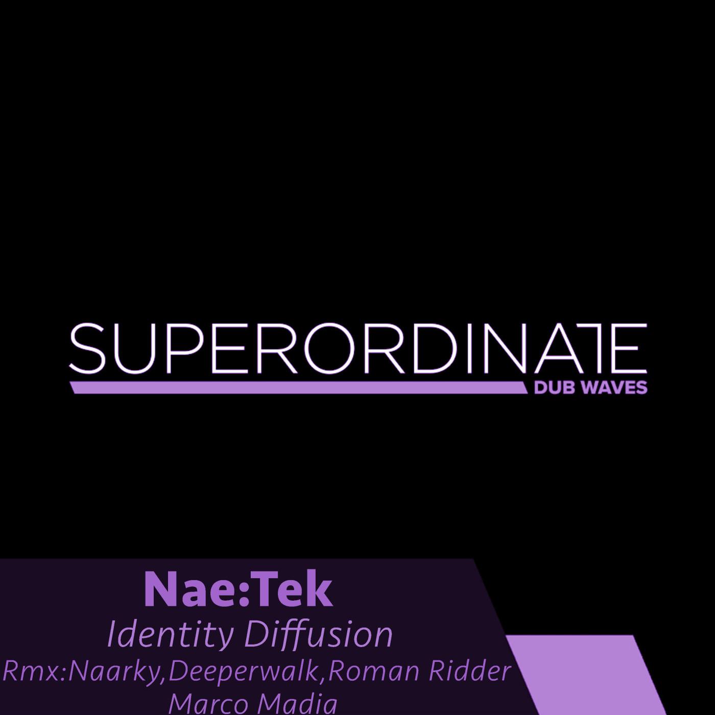 Identity Diffusion (Roman Ridder Rmx)