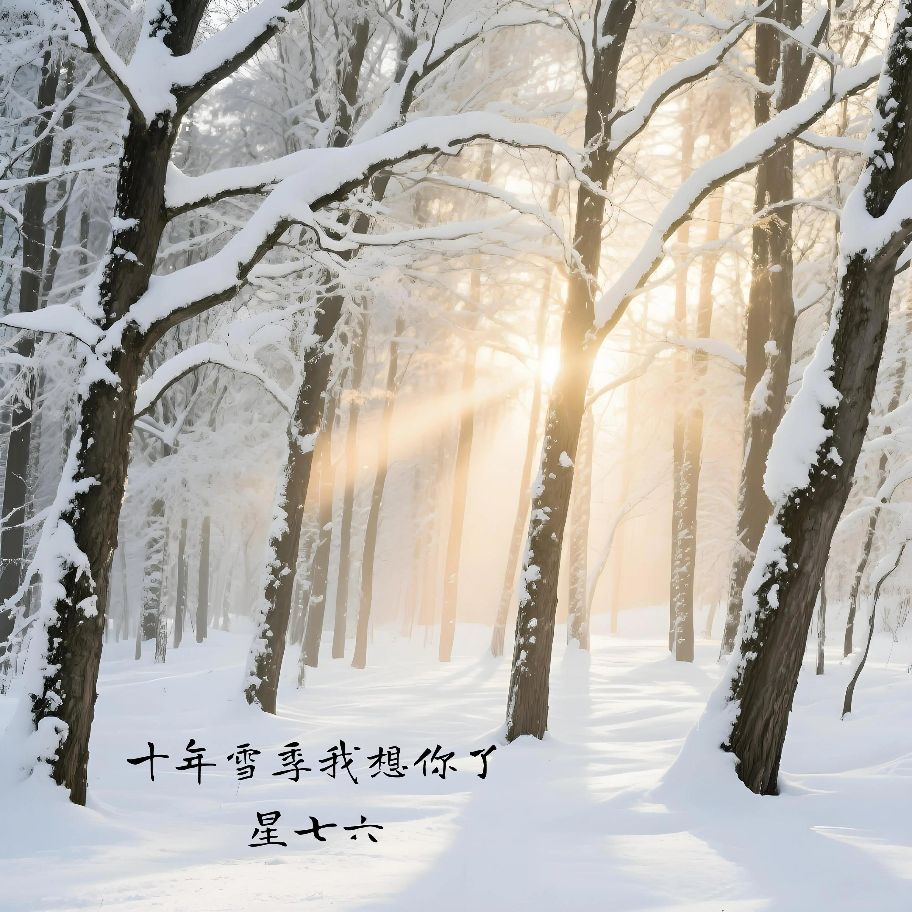 十年雪季我想你了封面